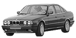 BMW E34 P2546 Fault Code
